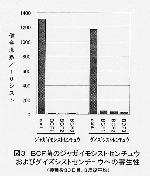 図3.BCF菌のジャガイモシストセンチュウおよびダイズシストセンチュウへの寄生性