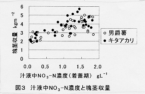 図3.汁液中NO3-N濃度と塊茎収量