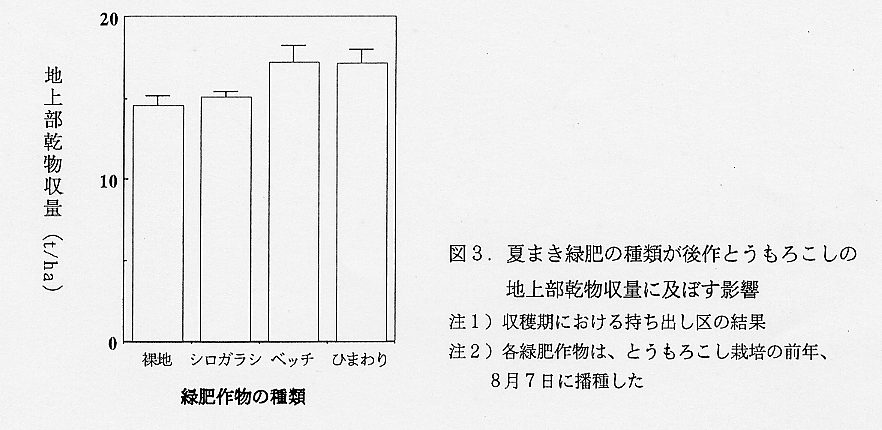 図3.夏まき緑肥の種類が後作とうもろこしの地上部乾物収量に及ぼす影響