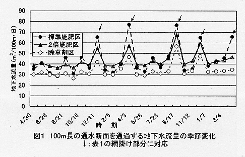 図1.100m長の通水断面を通過する地下水流量の季節変化