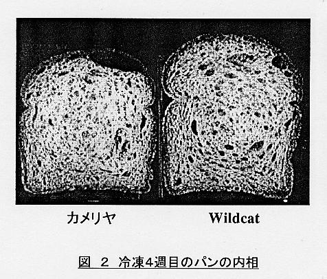 図2.冷凍4週目のパンの内相