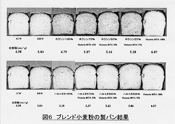 図6.ブレンド小麦粉の製パン結果