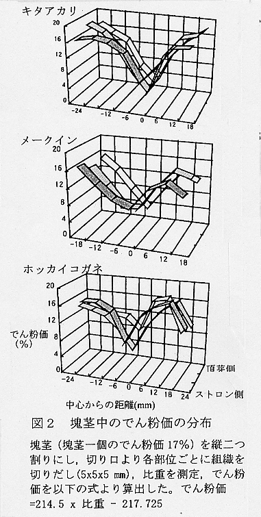 図2.塊茎中のでん粉価の分布
