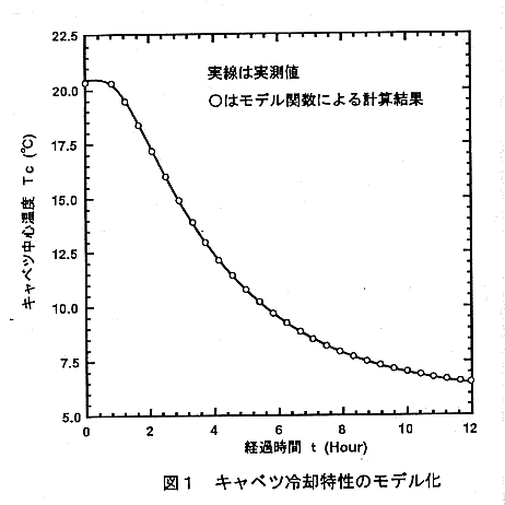 図1.キャベツ冷却特性のモデル化
