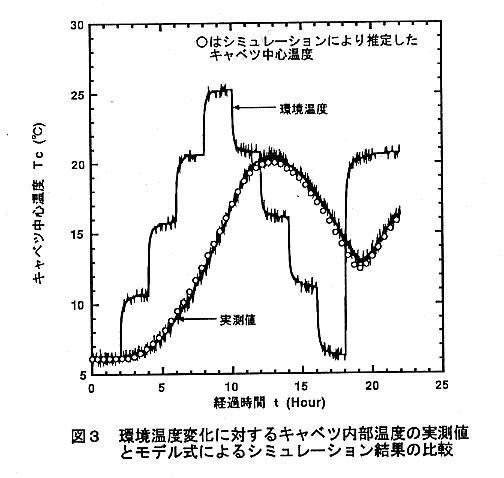 図3.環境温度変化に対するキャベツ内部湿度の実測値とモデル式によるシミュレーション結果の比較