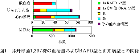 図1 豚丹毒菌1297株の血清型およびRAPD型と由来病型との関係