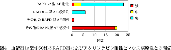 図4 血清型1a型株50株のRAPD型およびアクリフラビン耐性とマウス病原性との関係