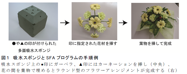 図1.吸水スポンジとSFA プログラムの手順例