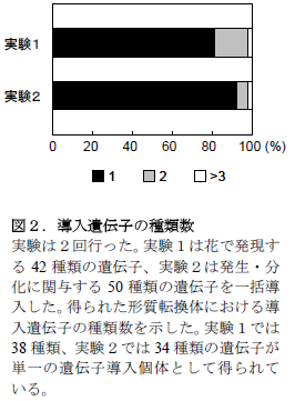 図2.導入遺伝子の種類数