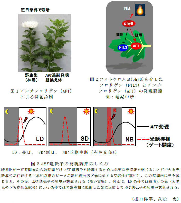 図1～,表1～