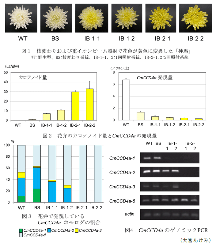 図1～,表1～