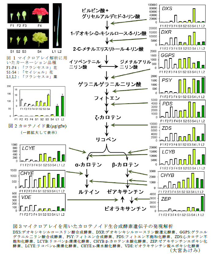 図1～3