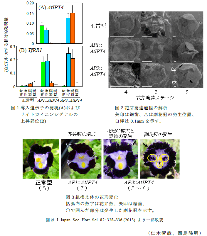 図1～3