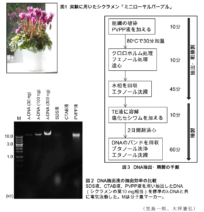 図1~2