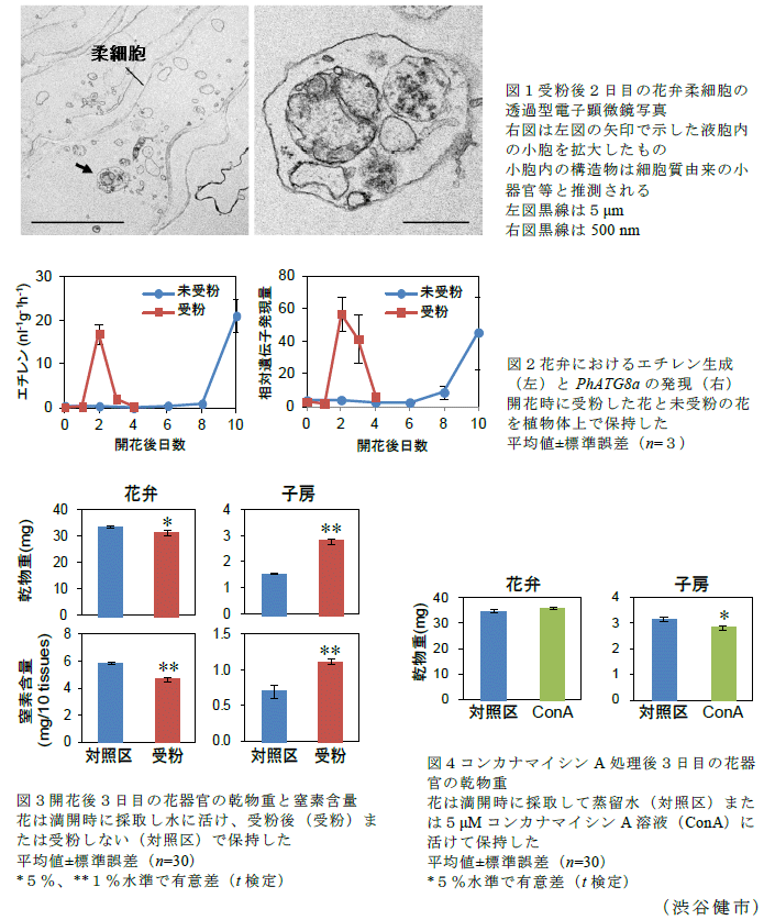 図1～4