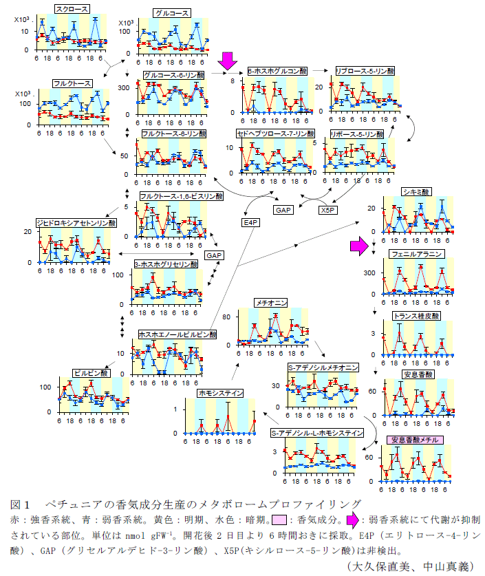 図1