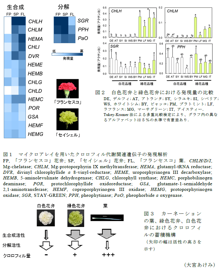 図1～3