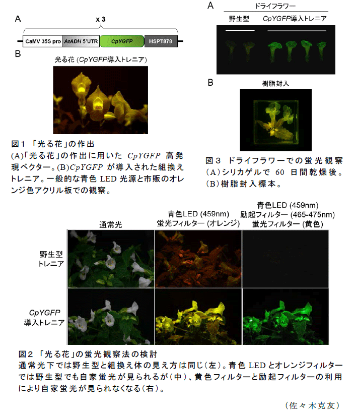 図1～3