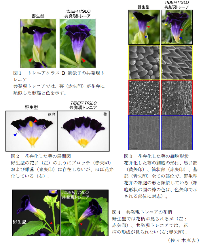 図1～4