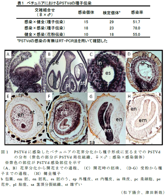 図1,表1