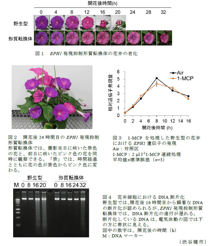 図1～4