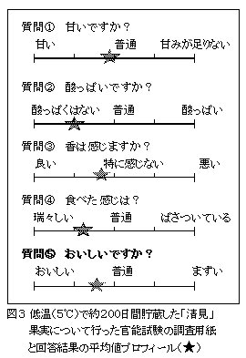 図3 低温で約200日間貯蔵した「清見」 果実について行った官能試験の調査用紙と回答結果の平均値プロフィール(★)