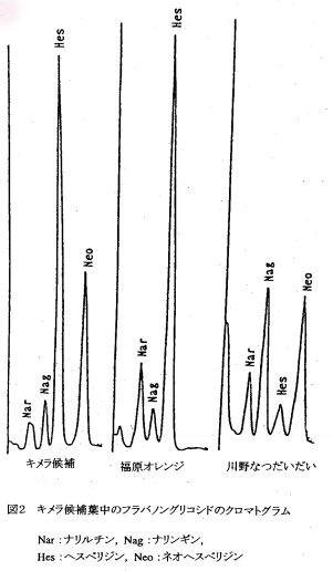 図2 キメラ候補葉中のフラバノングリコシドのクロマトグラム