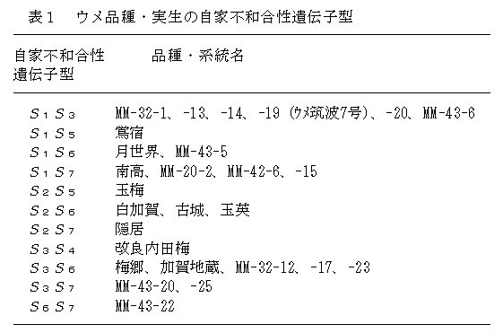 表1 ウメ品種・実生の自家不和合性遺伝子型