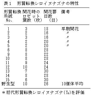 表1 形質転換シロイヌナズナの特性