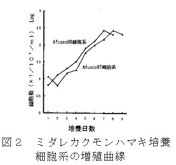 図2 ミダレカクモンハマキ培養細胞系の増殖曲線