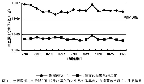 図1 土壌散布した系統FRM119及び偏在的に生息する黒きょう病菌の土壌中の生息消長