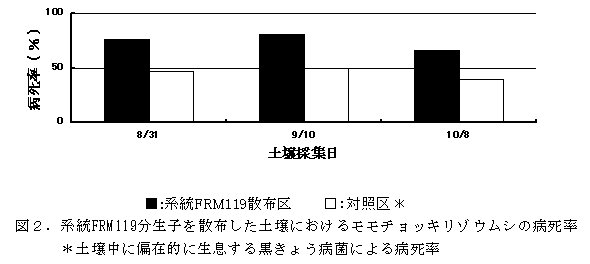 図2 系統FRM119生子を散布した土壌におけるモモチョッキリゾウムシの病死率
