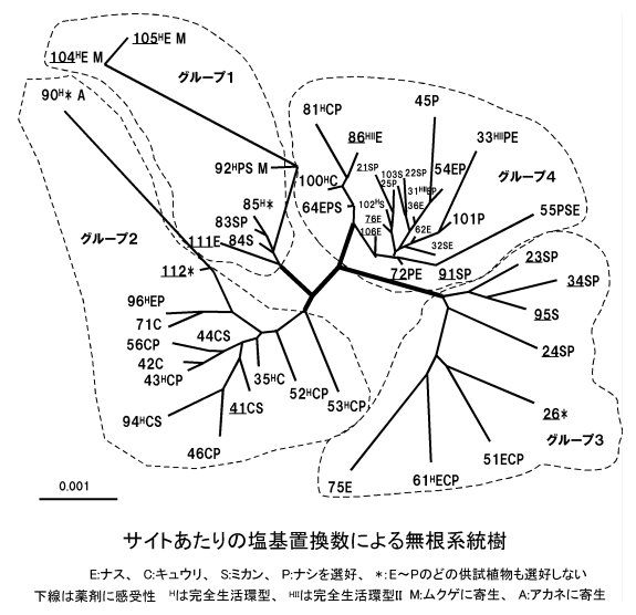 図1 グループ1、グループ2、グループ3、グループ4