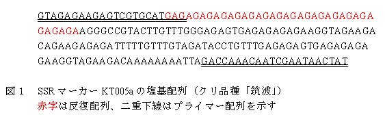 図1 SSRマーカーKT005aの塩基配列