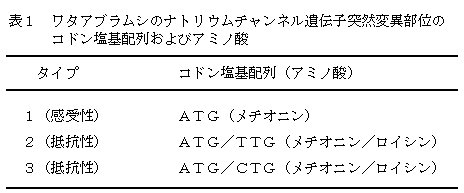 表1 ワタアブラムシのナトリウムチャンネル遺伝子突然変異部位のコドン塩基配列およびアミノ酸