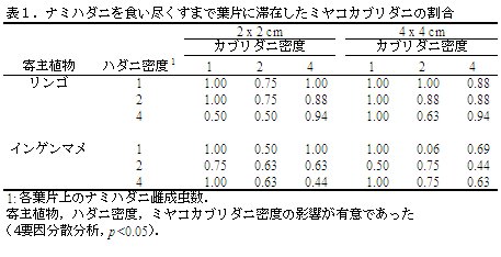 表1.ナミハダニを食い尽くすまで葉片に滞在したミヤコカブリダニの割合