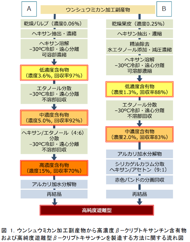 図1.ウンシュウミカン加工副産物から高濃度β−クリプトキサンチン含有物および高純度遊離型β−クリプトキサンチンを製造する方法に関する流れ図