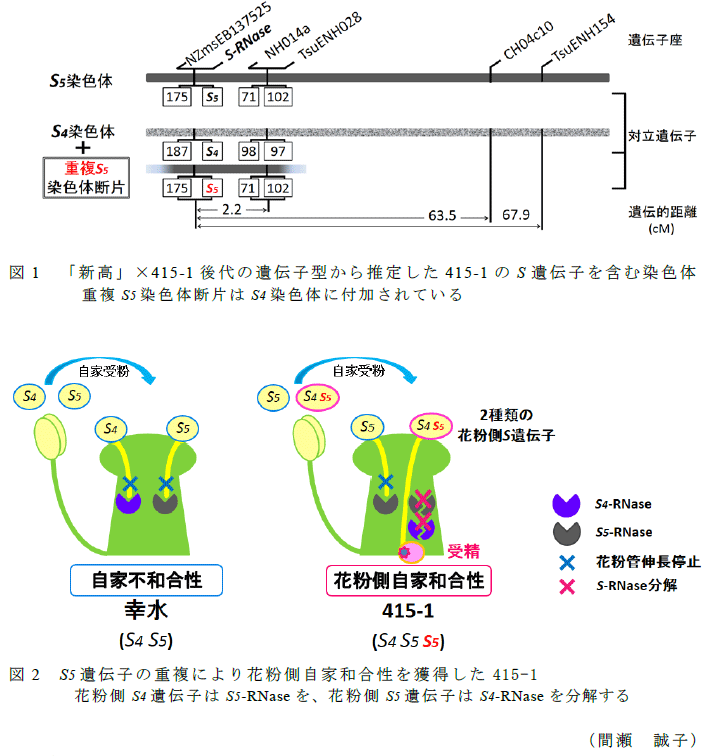 図1～2