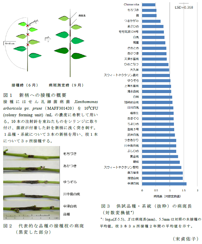 図1～3