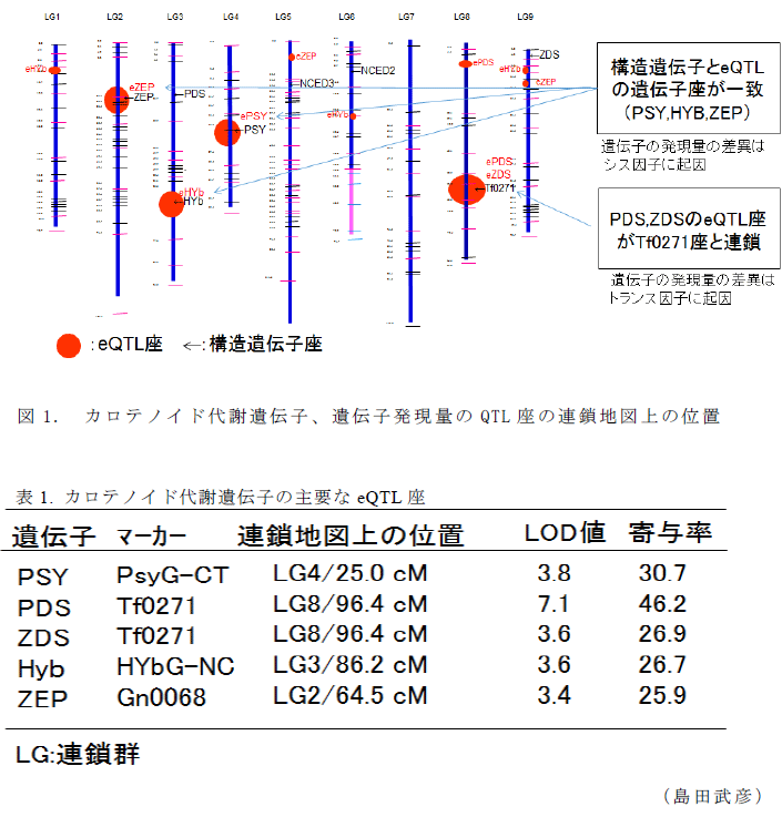 図1～,表1～