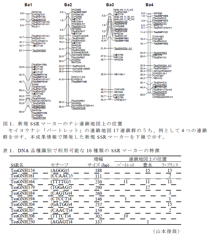 図1,表1