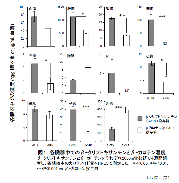 図1