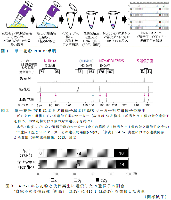 図1～3