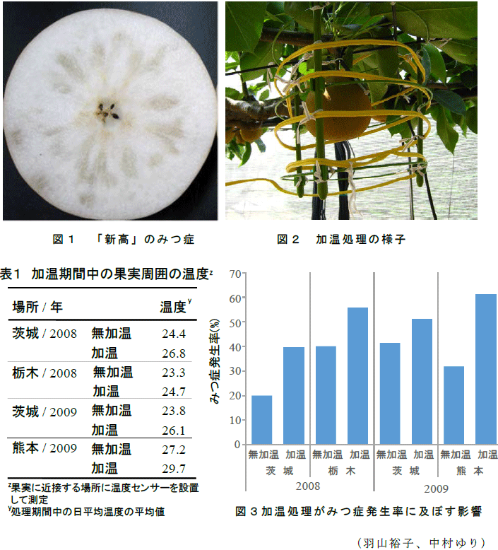 図1～3,表1