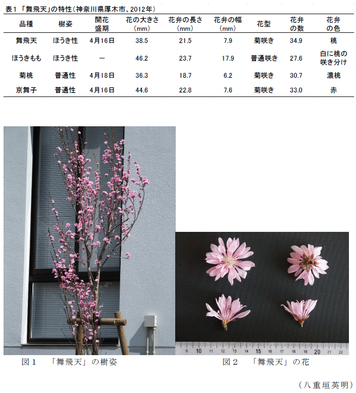 図1～2,表1