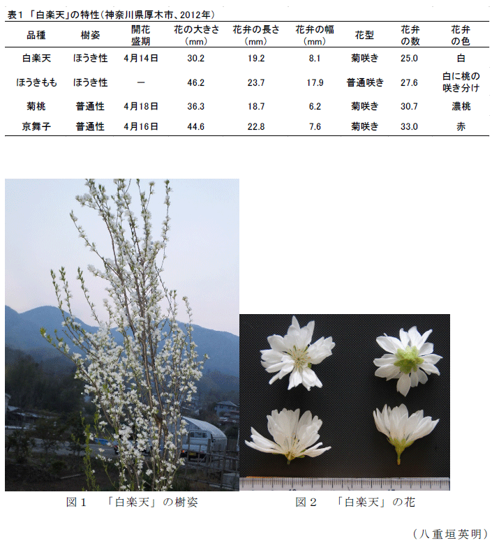 図1～2,表1