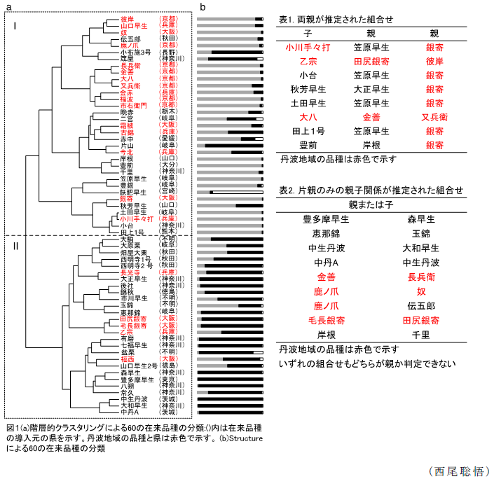 図1,表1～2