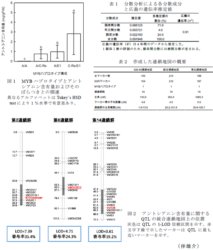 図1～2,表1～2