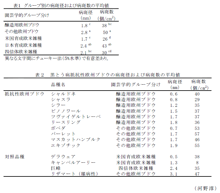 表1～2