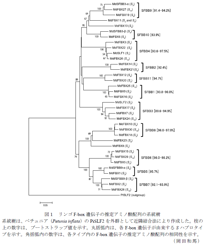 図1～,表1～